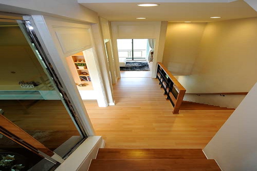 ฟลอร่า-วงศ์สว่าง