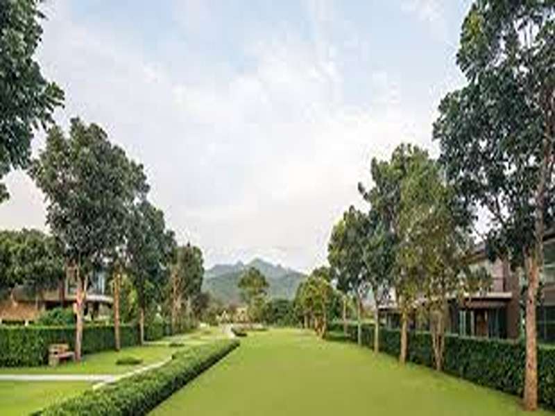 Crea-Khao-Yai
