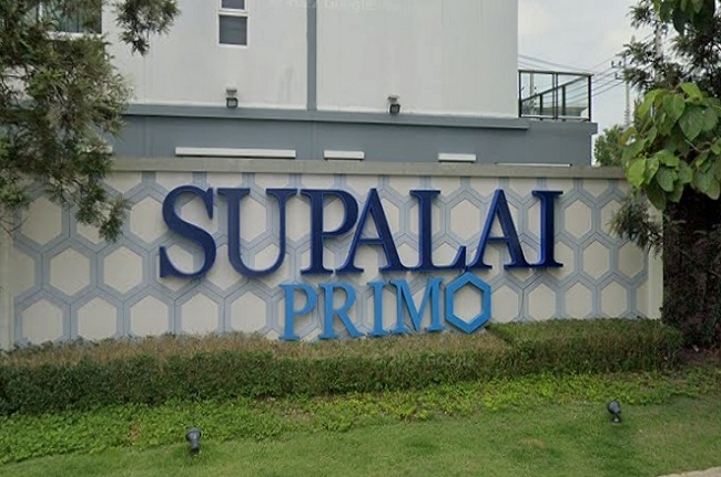 banner-project-details