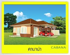 banner-project-details